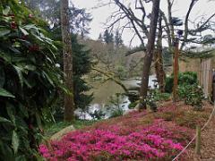 149 PARC ORIENTAL DE MAULEVIER MAINE ET LOIRE 2016 N1_000032